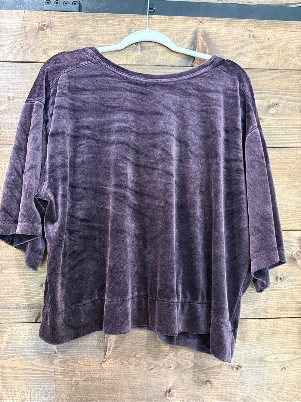 We The Free Velvet-Like Boxy Short Sleeve Top in Plum